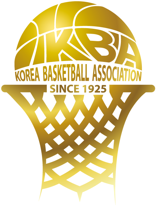 Korea 2014-Pres Primary Logo iron on transfers for clothing